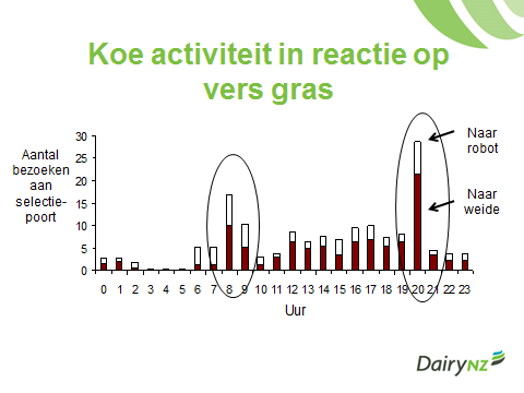 140530 koe-activiteit