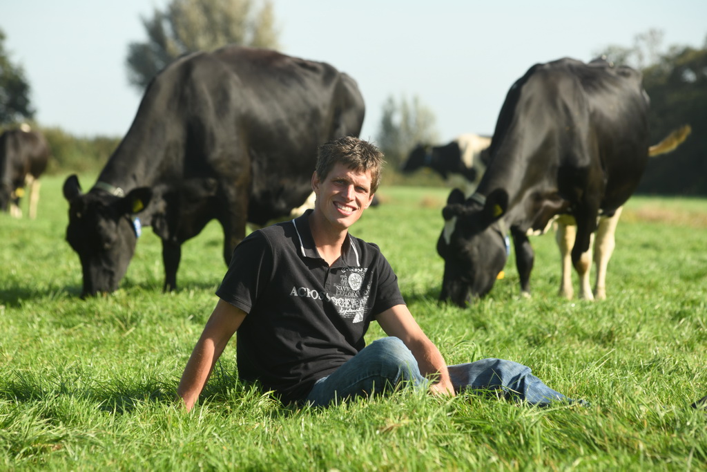 Foto Tom Kortleve tussen koeien