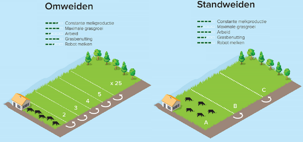 20150306 omweiden standweiden