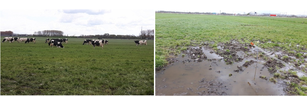 20160429 gelderland