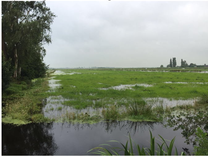 20160624 regenval